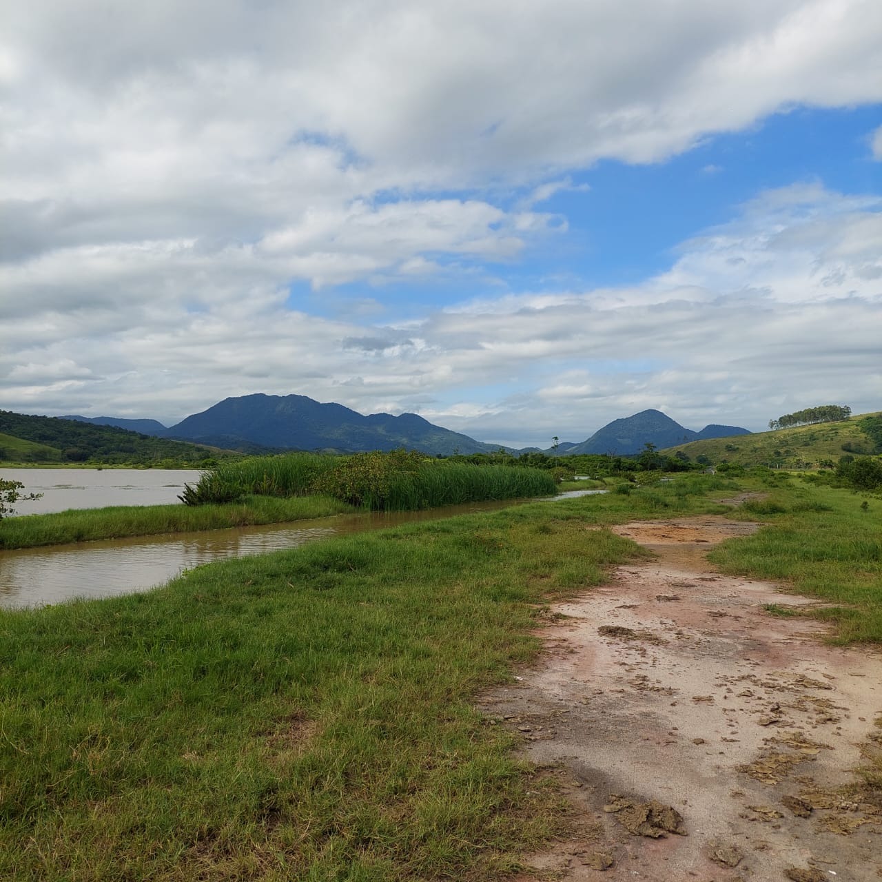 Fazenda à venda com 10 quartos - Foto 43