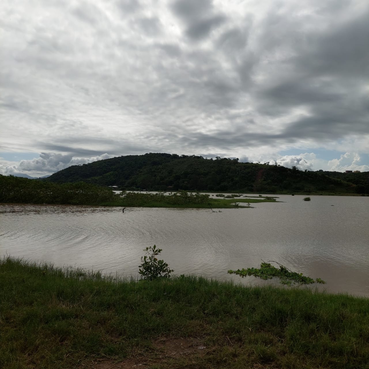 Fazenda à venda com 10 quartos - Foto 40