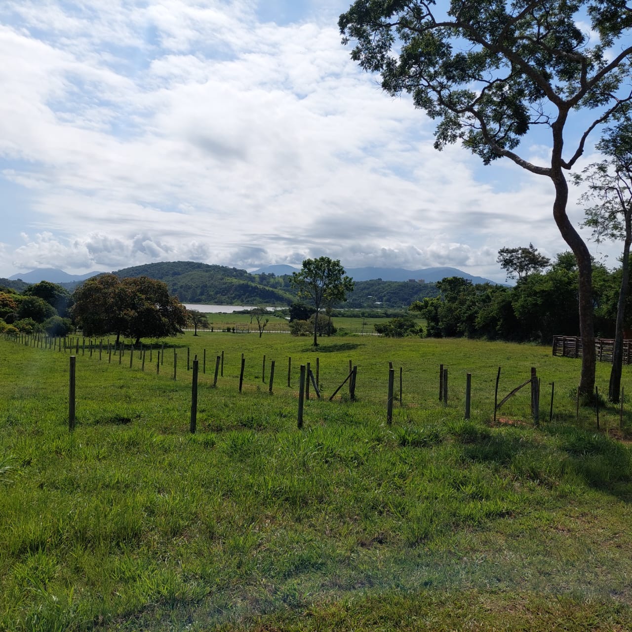 Fazenda à venda com 10 quartos - Foto 2