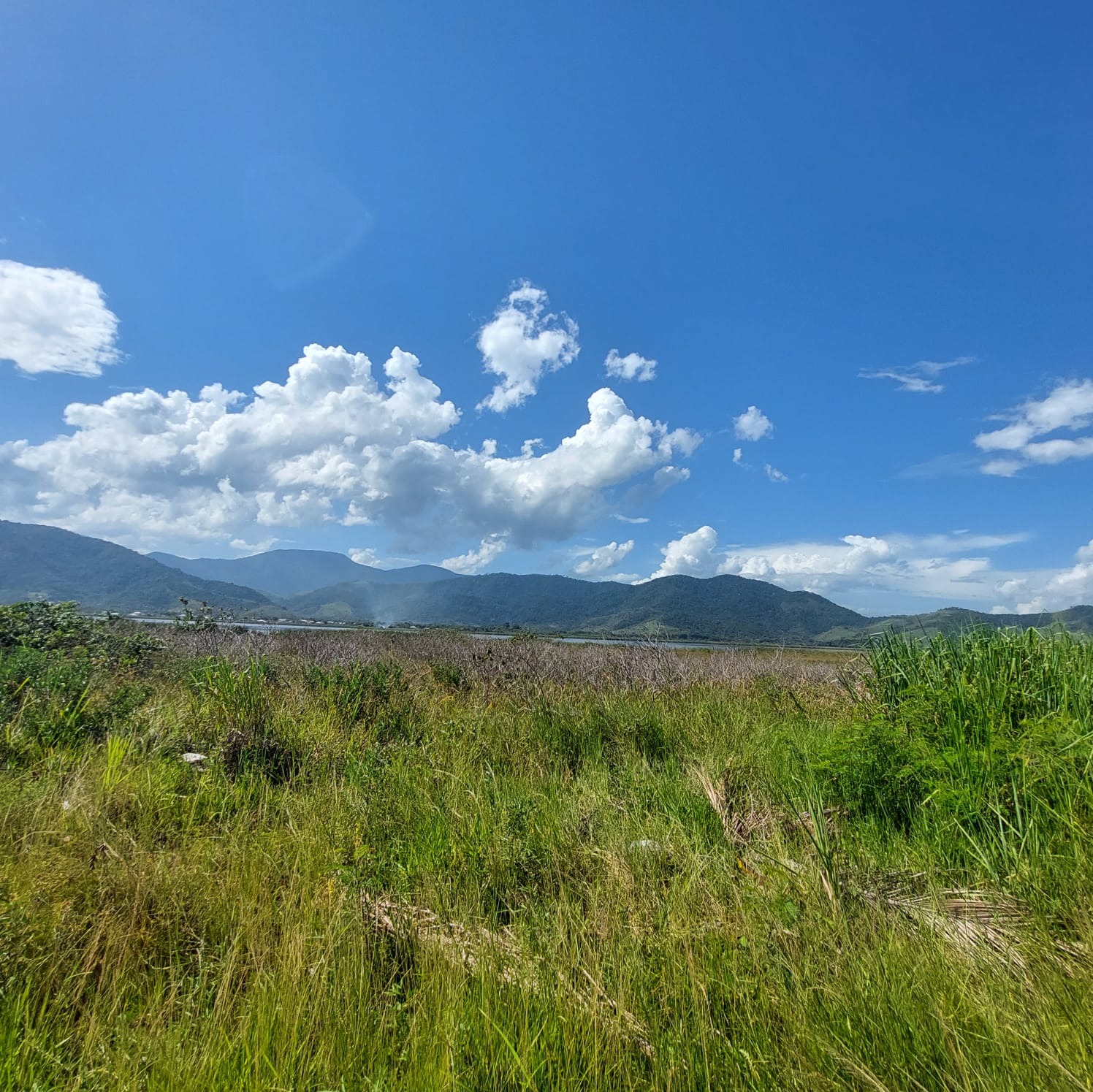 Terreno à venda - Foto 10