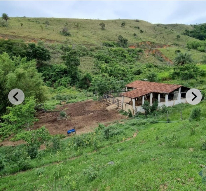 Fazenda à venda com 6 quartos - Foto 33