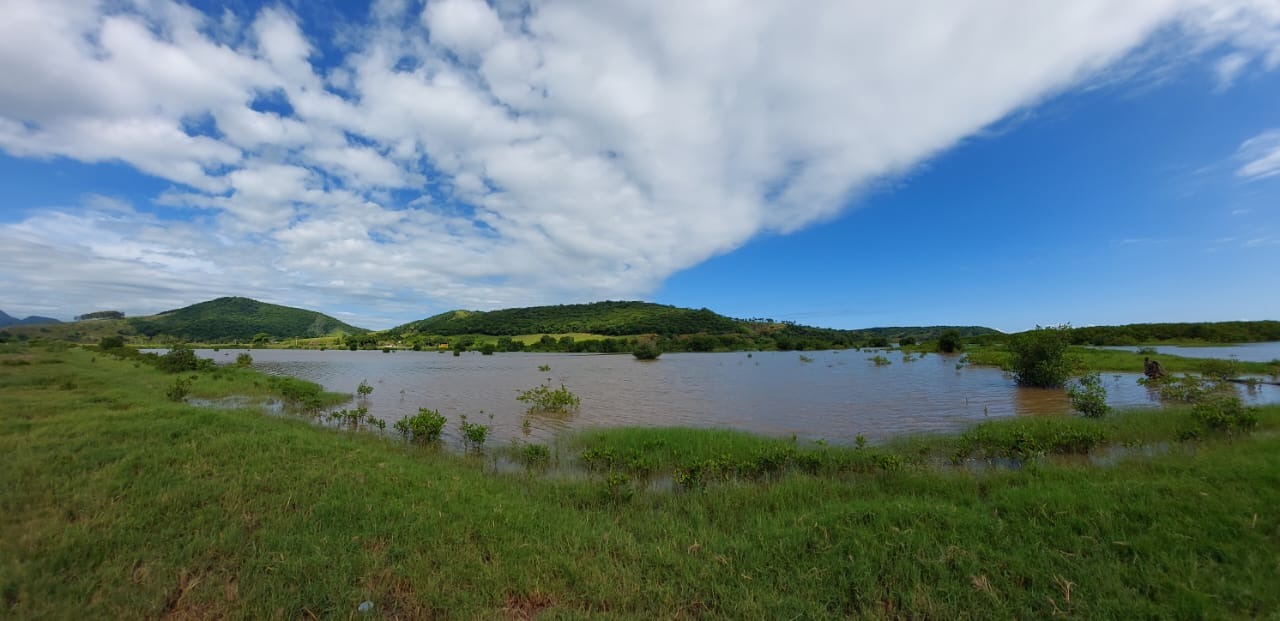 Fazenda à venda com 10 quartos - Foto 50