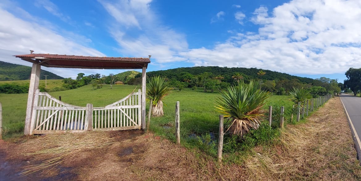 Fazenda à venda com 10 quartos - Foto 1