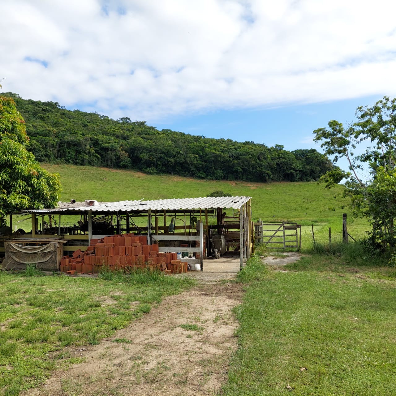 Fazenda à venda com 10 quartos - Foto 85