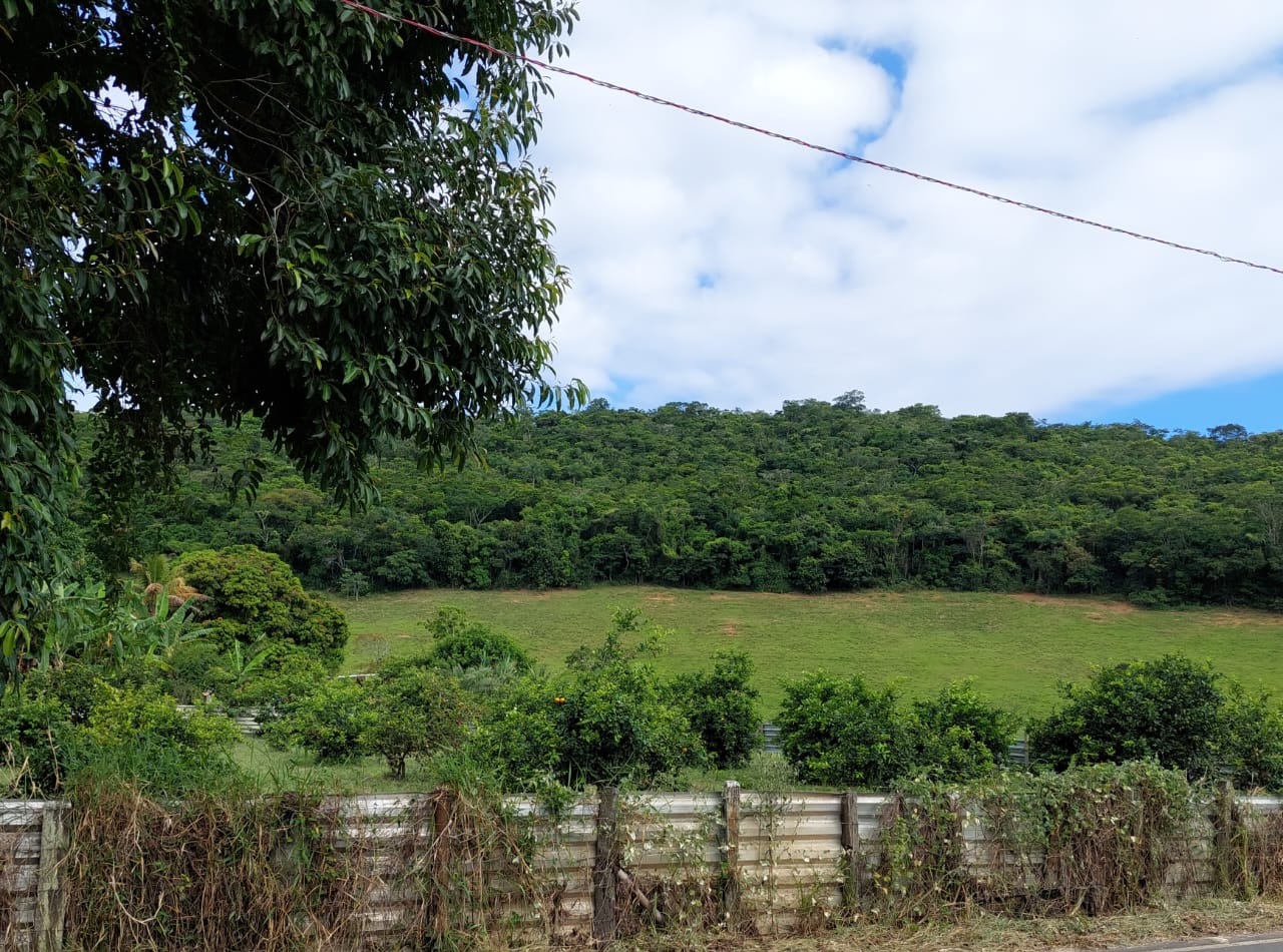 Fazenda à venda com 10 quartos - Foto 52