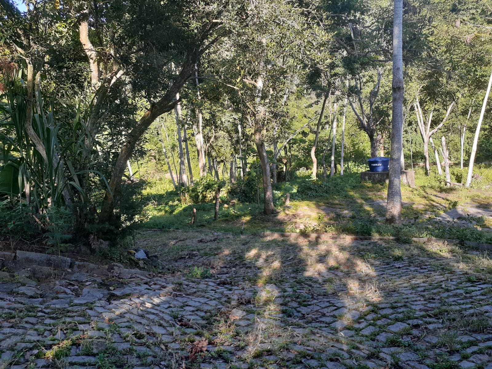 Chácara, 3 quartos - Foto 36