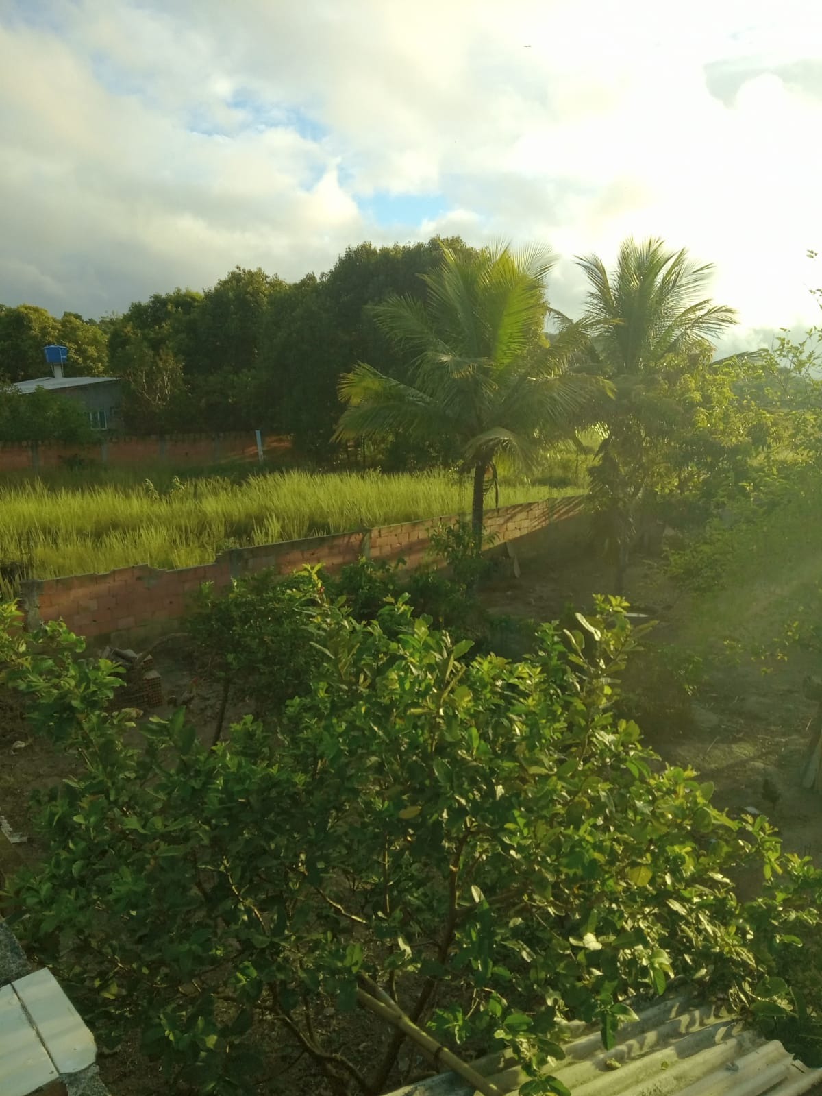 Casa à venda com 4 quartos - Foto 6