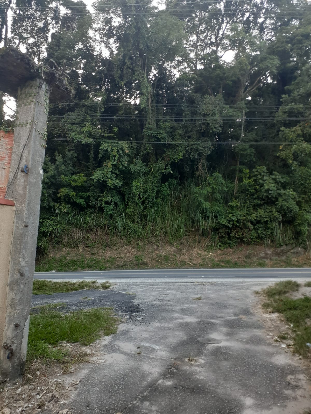 Chácara, 3 quartos - Foto 21