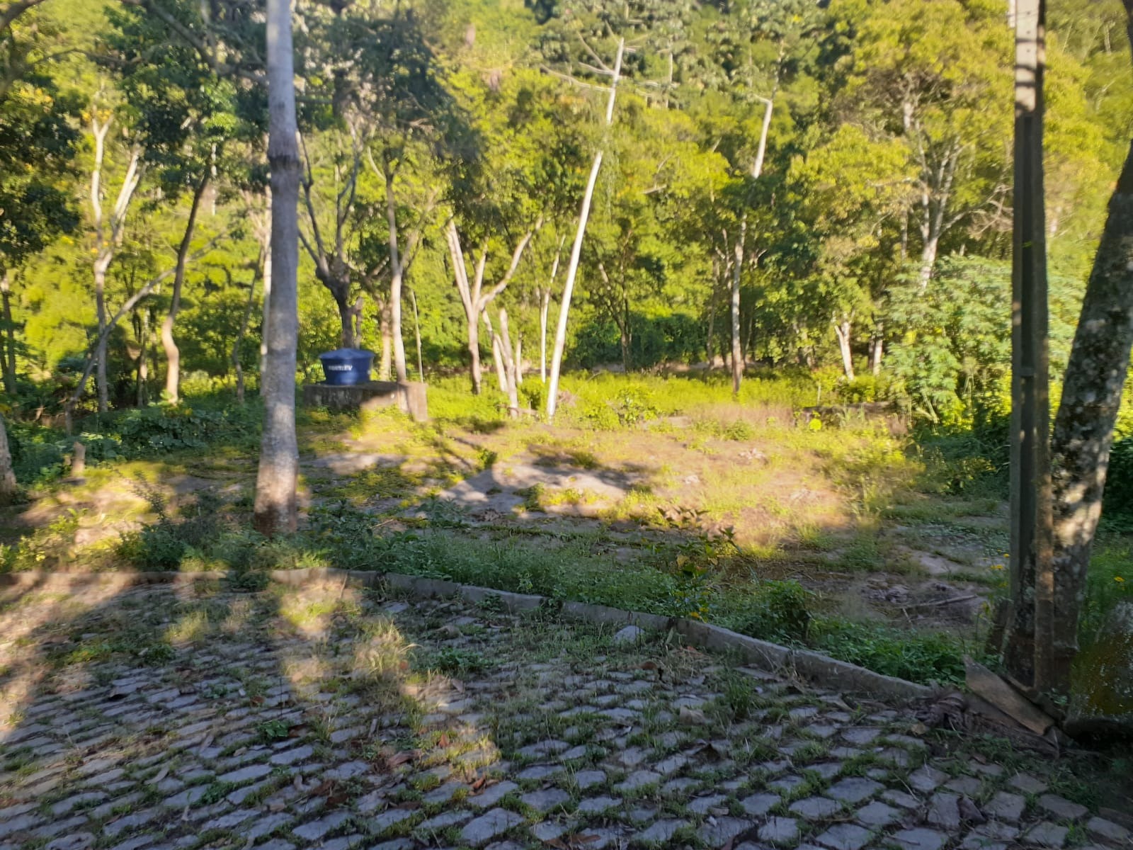 Chácara, 3 quartos - Foto 1