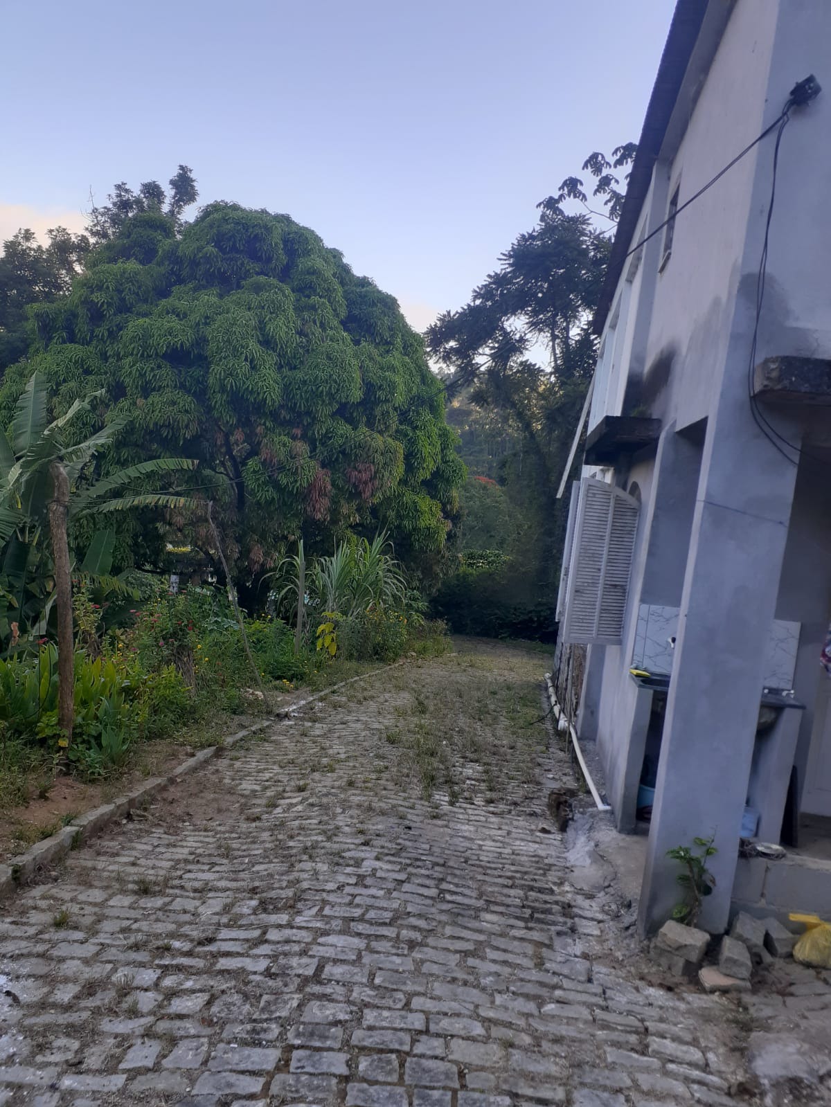 Chácara, 3 quartos - Foto 29