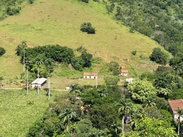 Fazenda à venda com 10 quartos - Foto 4