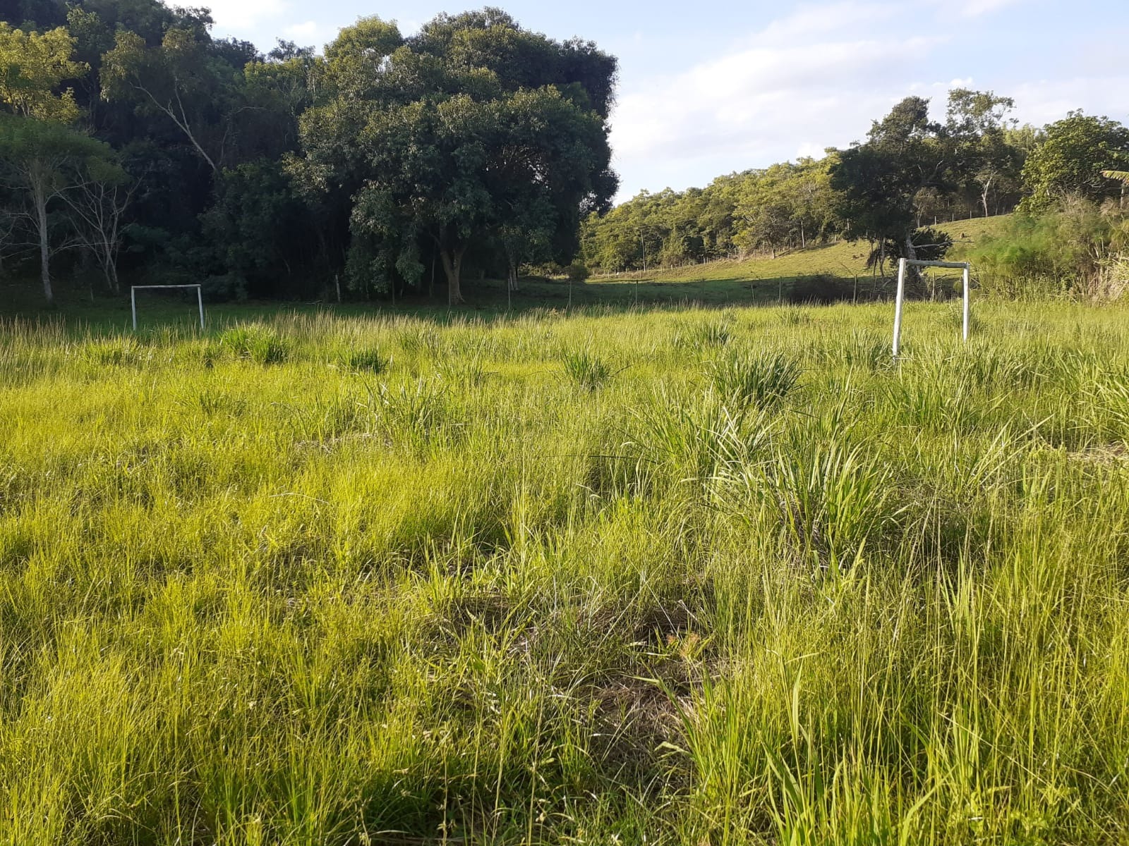 Haras e Área Rural Padrão à venda - Foto 6