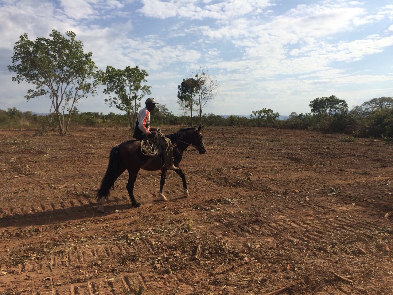 Fazenda, 4 quartos - Foto 11