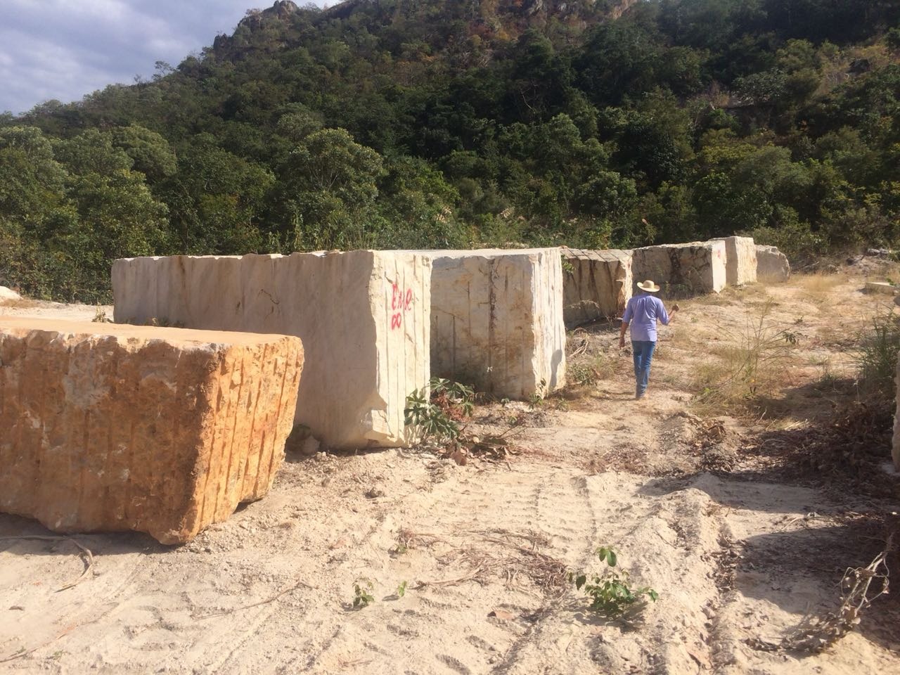 Fazenda, 4 quartos - Foto 4