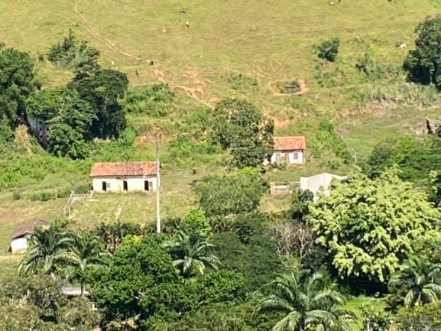 Fazenda à venda com 10 quartos - Foto 12