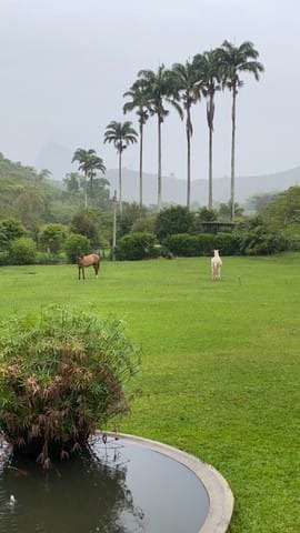 Fazenda à venda com 10 quartos - Foto 2