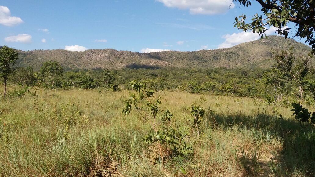 Fazenda, 4 quartos - Foto 10
