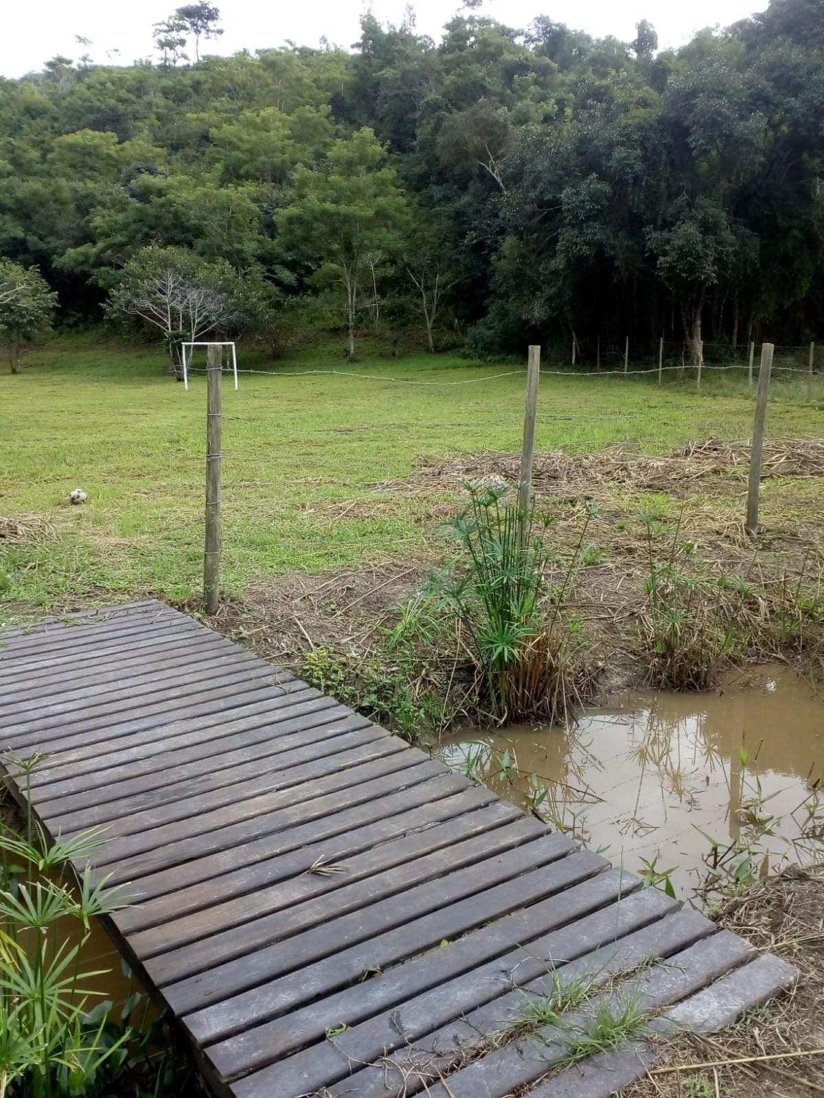 Haras e Área Rural Padrão à venda - Foto 4