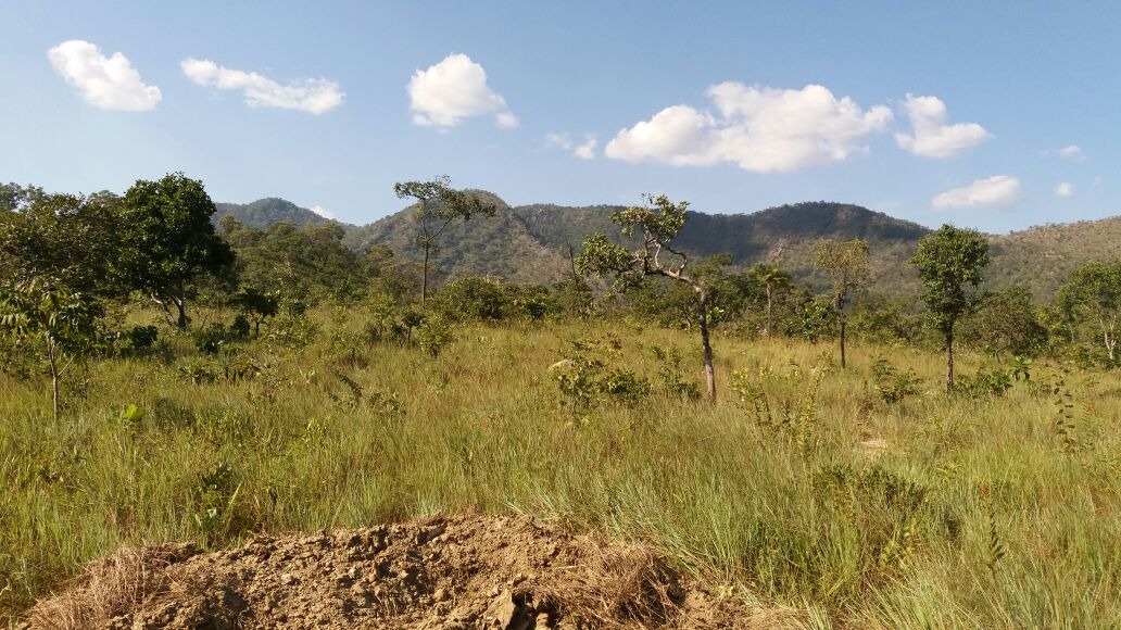 Fazenda, 4 quartos - Foto 6