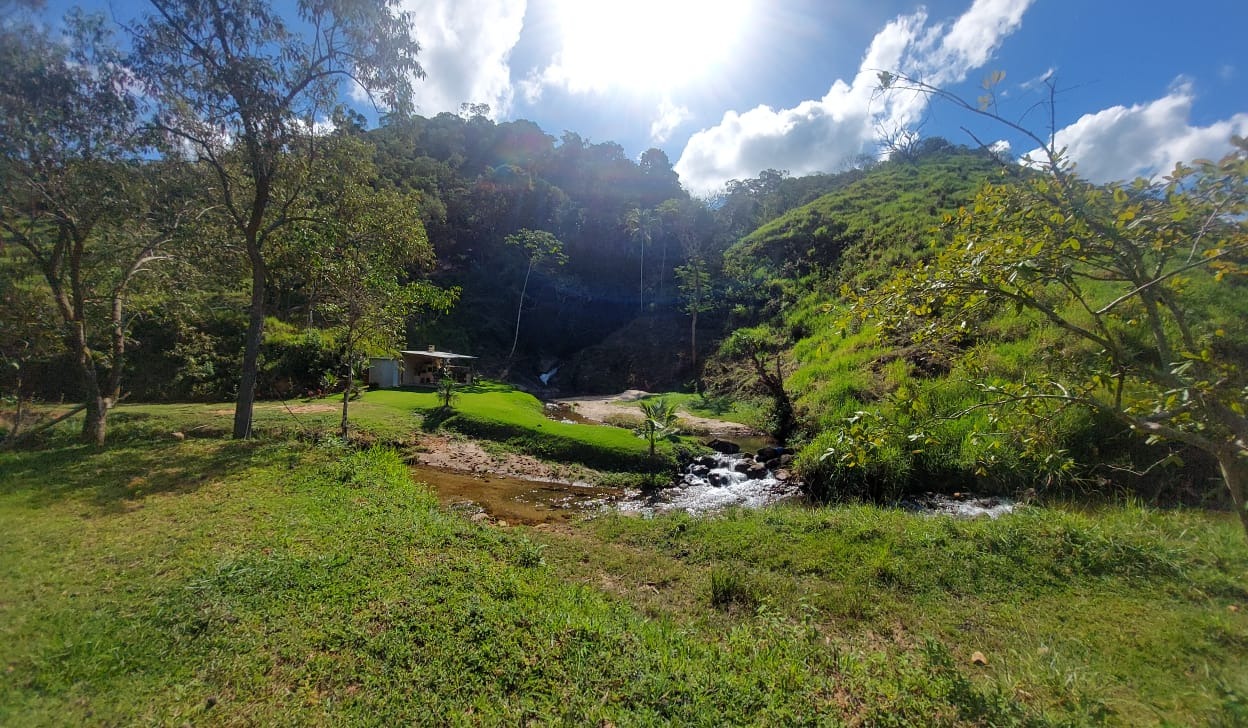 Fazenda à venda com 2 quartos, 40m² - Foto 14