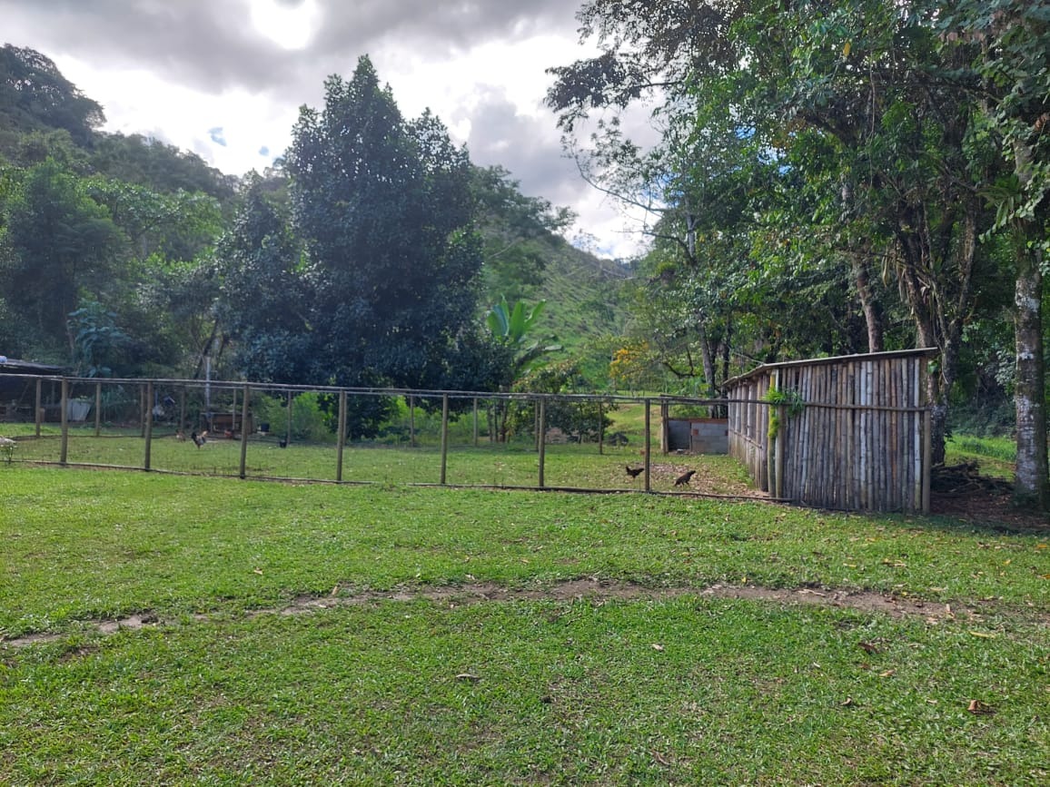 Fazenda à venda com 2 quartos, 40m² - Foto 34