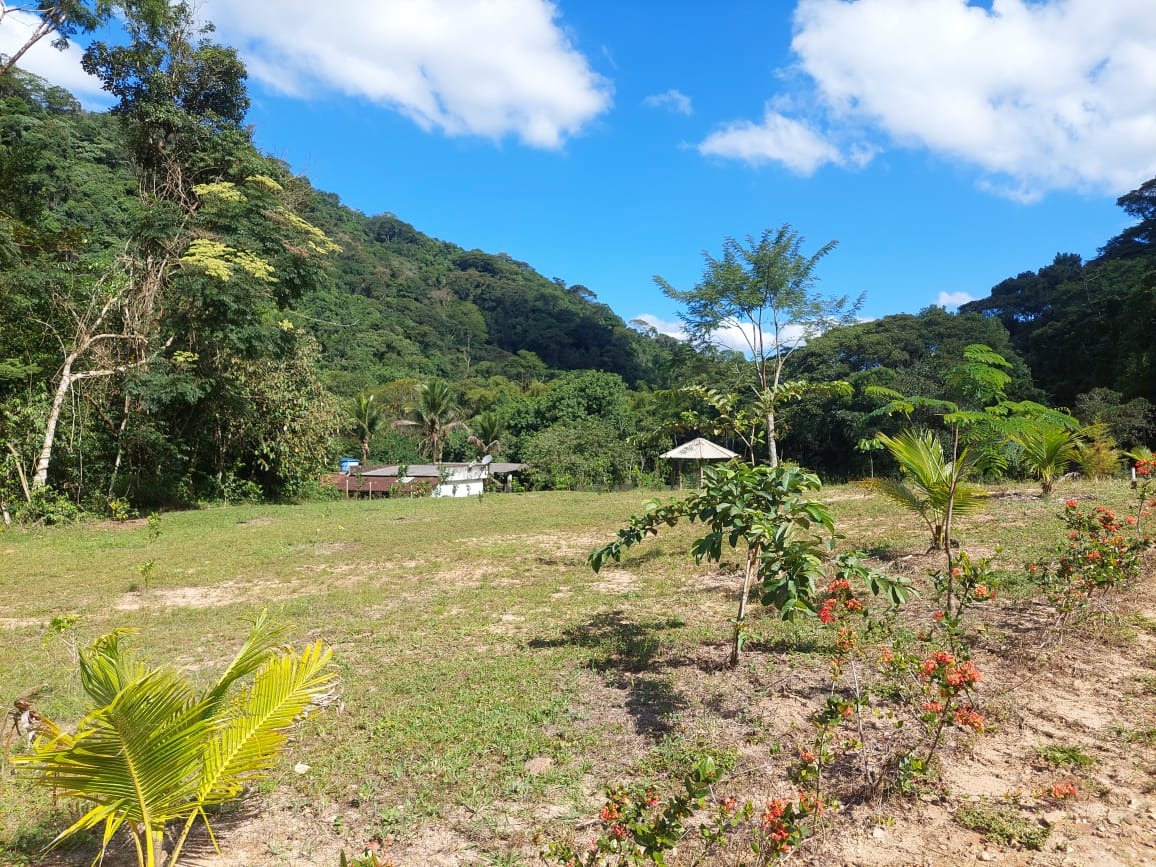 Fazenda à venda com 2 quartos, 40m² - Foto 10