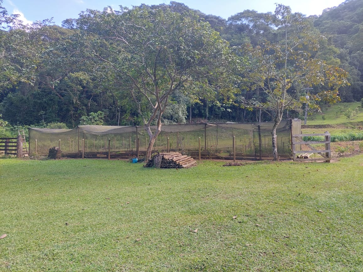 Fazenda à venda com 2 quartos, 40m² - Foto 42