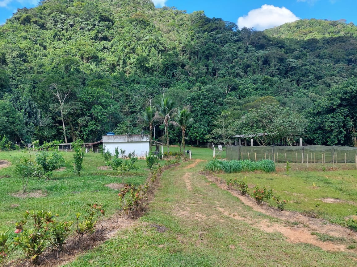 Fazenda à venda com 2 quartos, 40m² - Foto 8