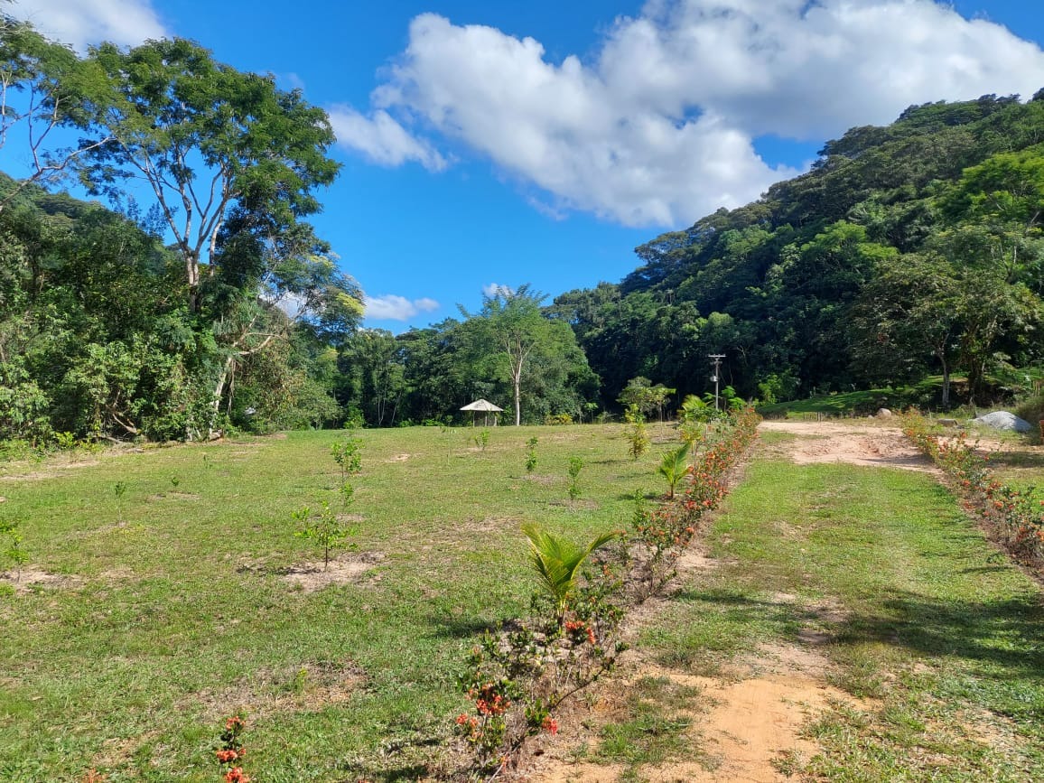 Fazenda à venda com 2 quartos, 40m² - Foto 11