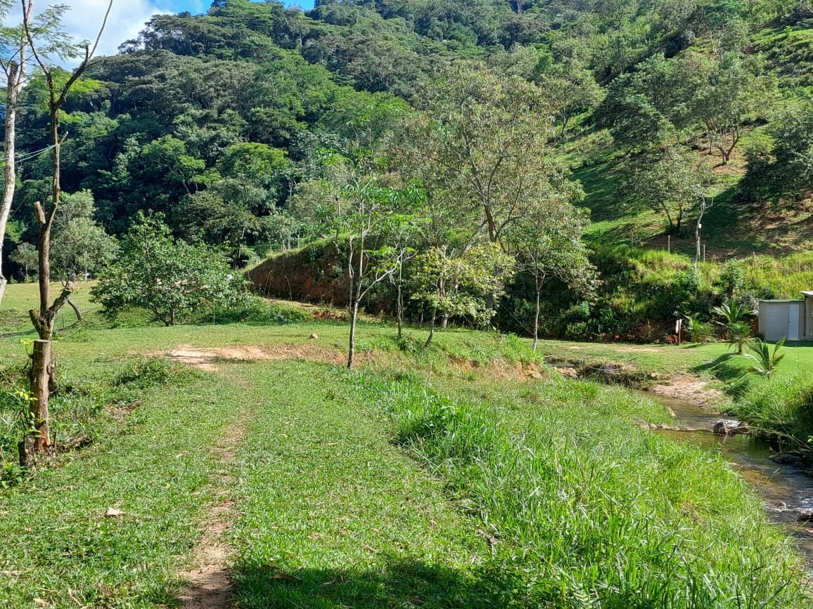 Fazenda à venda com 2 quartos, 40m² - Foto 24