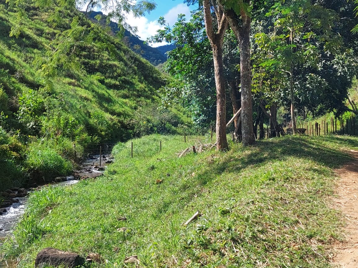 Fazenda à venda com 2 quartos, 40m² - Foto 26