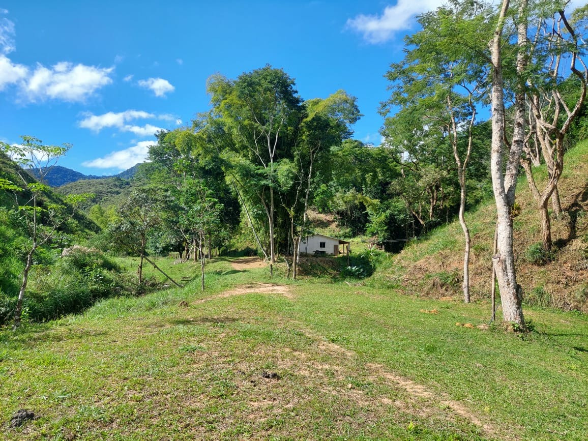 Fazenda à venda com 2 quartos, 40m² - Foto 12