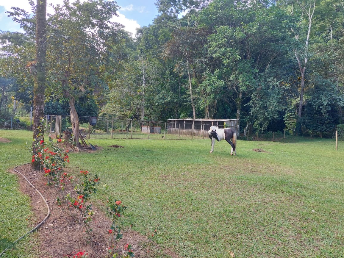 Fazenda à venda com 2 quartos, 40m² - Foto 36