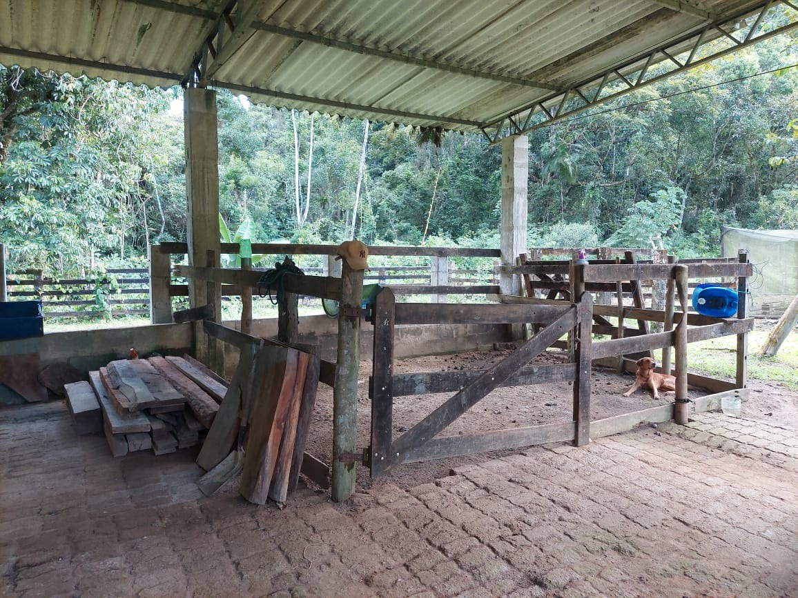 Fazenda à venda com 2 quartos, 40m² - Foto 6