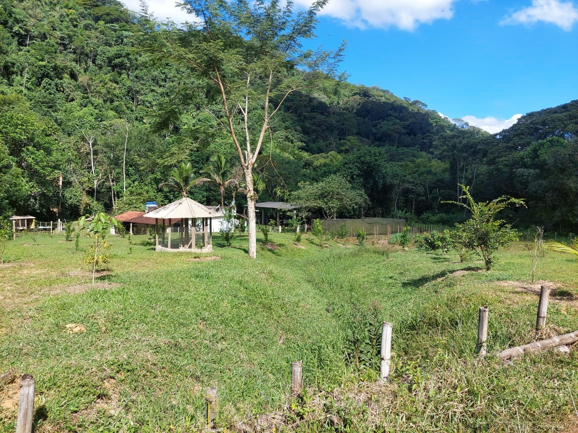 Fazenda à venda com 2 quartos, 40m² - Foto 9