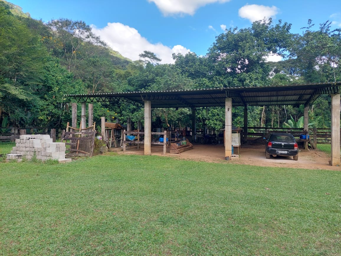 Fazenda à venda com 2 quartos, 40m² - Foto 39