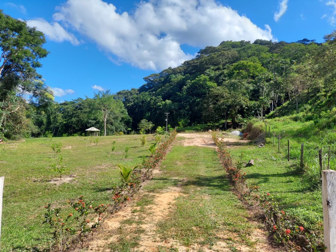 Fazenda à venda com 2 quartos, 40m² - Foto 13