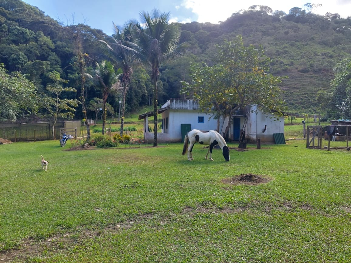 Fazenda à venda com 2 quartos, 40m² - Foto 40