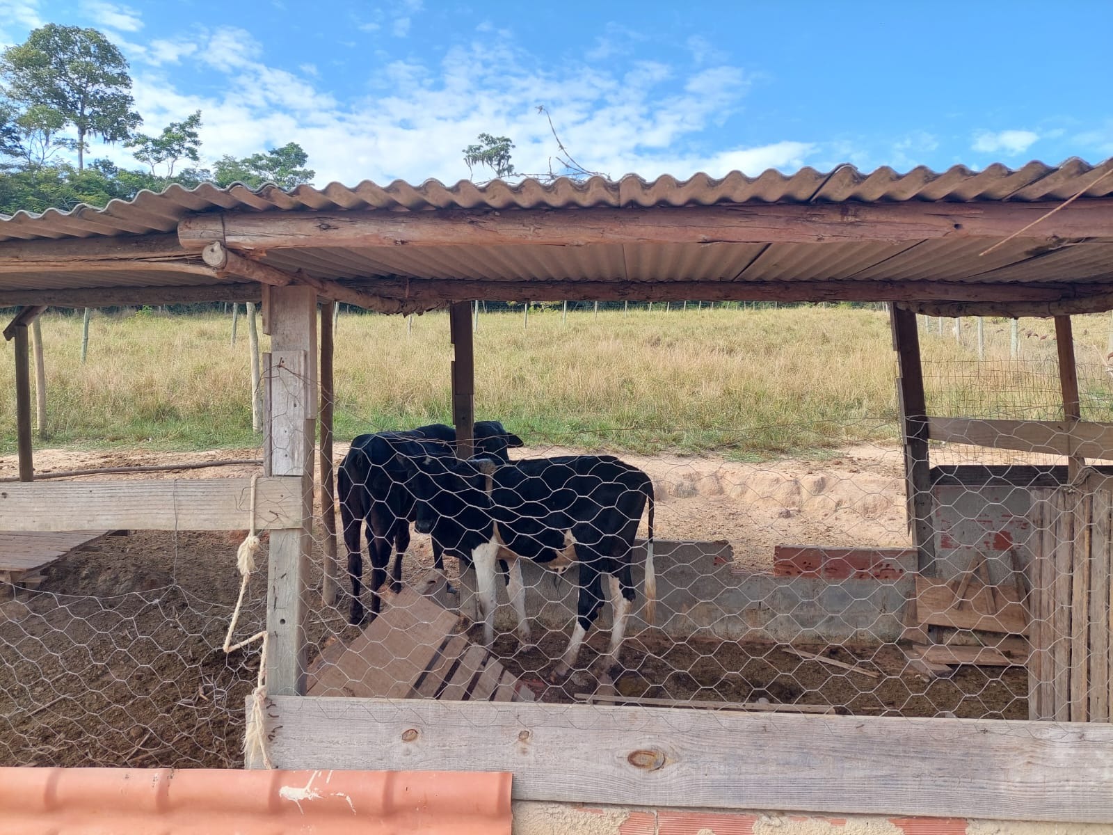 Sítio à venda com 4 quartos - Foto 67