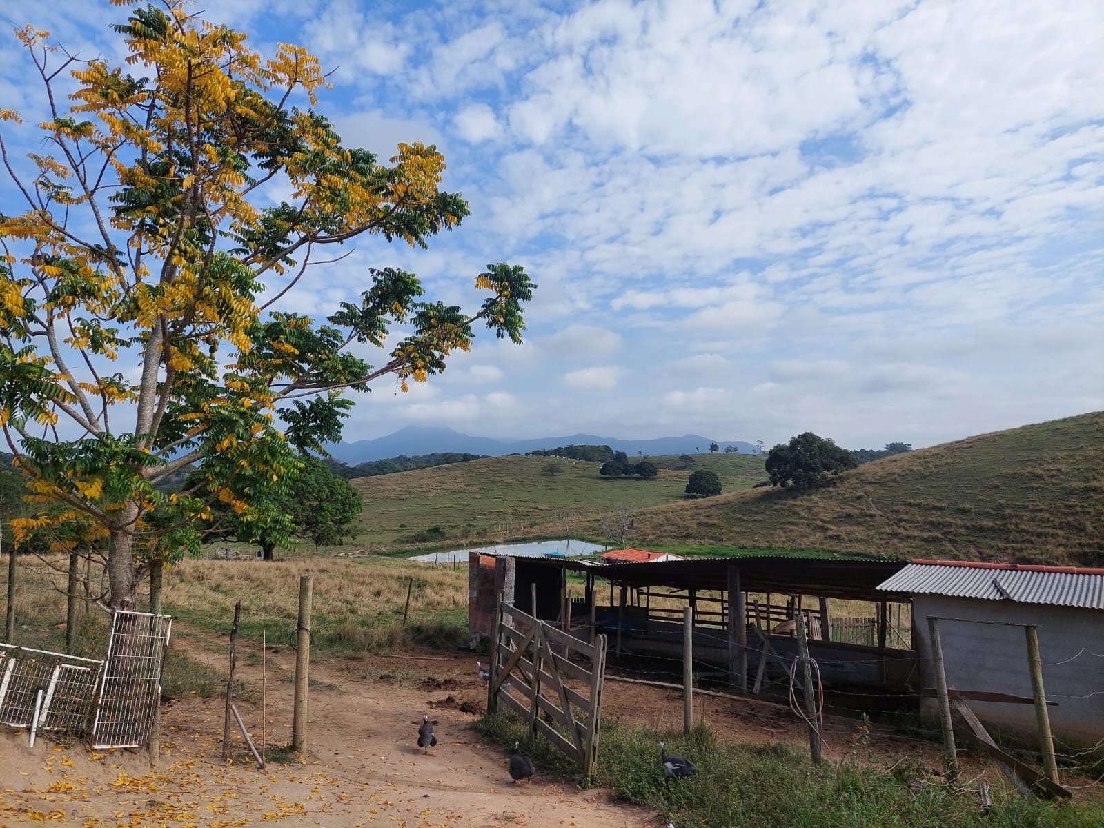 Sítio à venda com 4 quartos - Foto 68