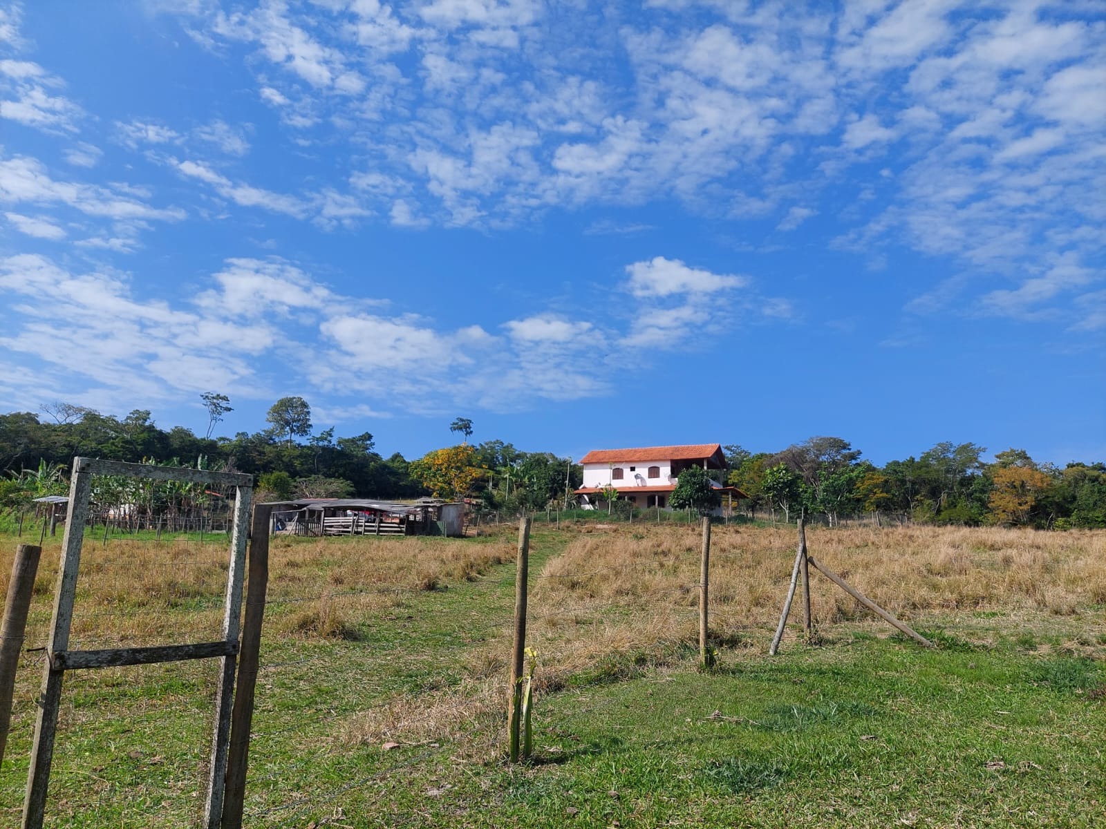 Sítio à venda com 4 quartos - Foto 8