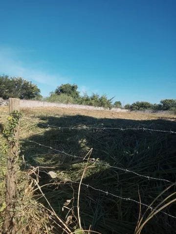 Terreno à venda, 1980m² - Foto 2