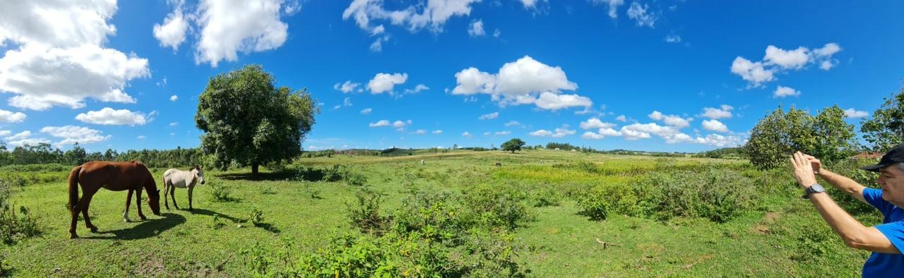 Fazenda à venda - Foto 65