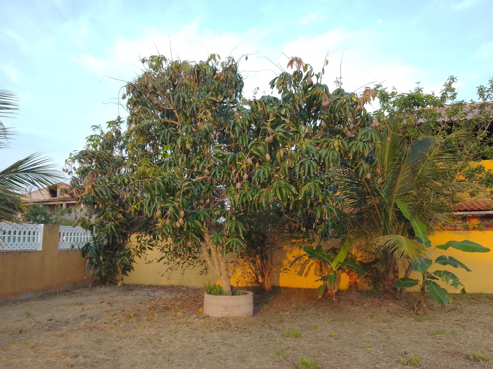 Casa à venda com 2 quartos - Foto 6