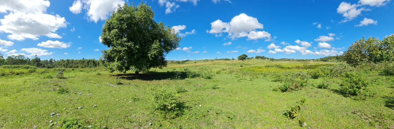 Fazenda à venda - Foto 69