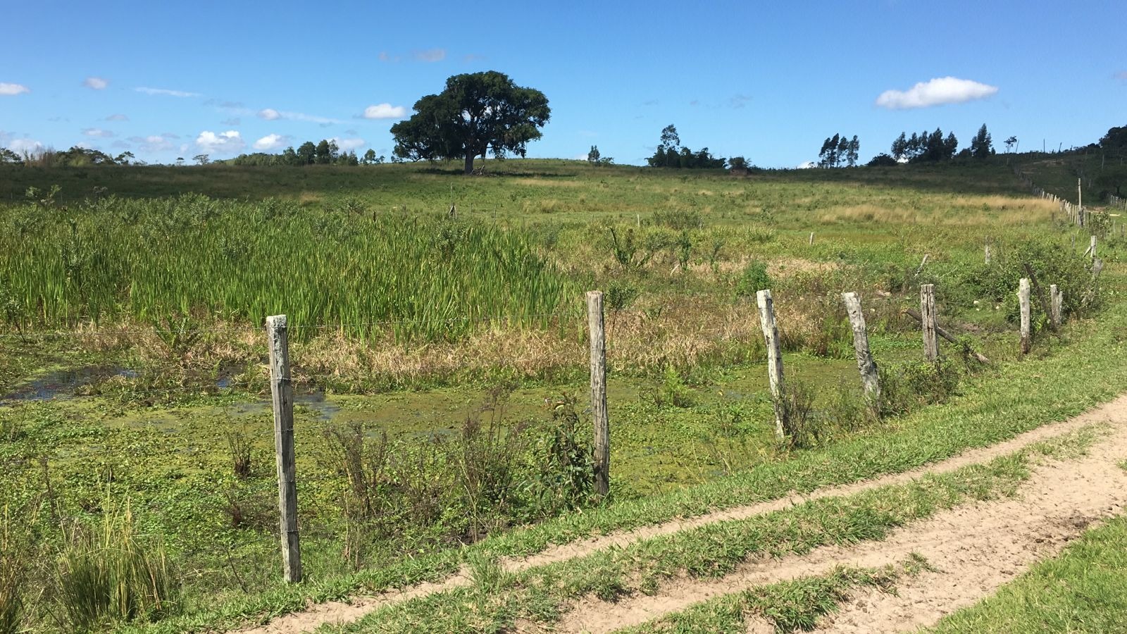 Fazenda à venda - Foto 8