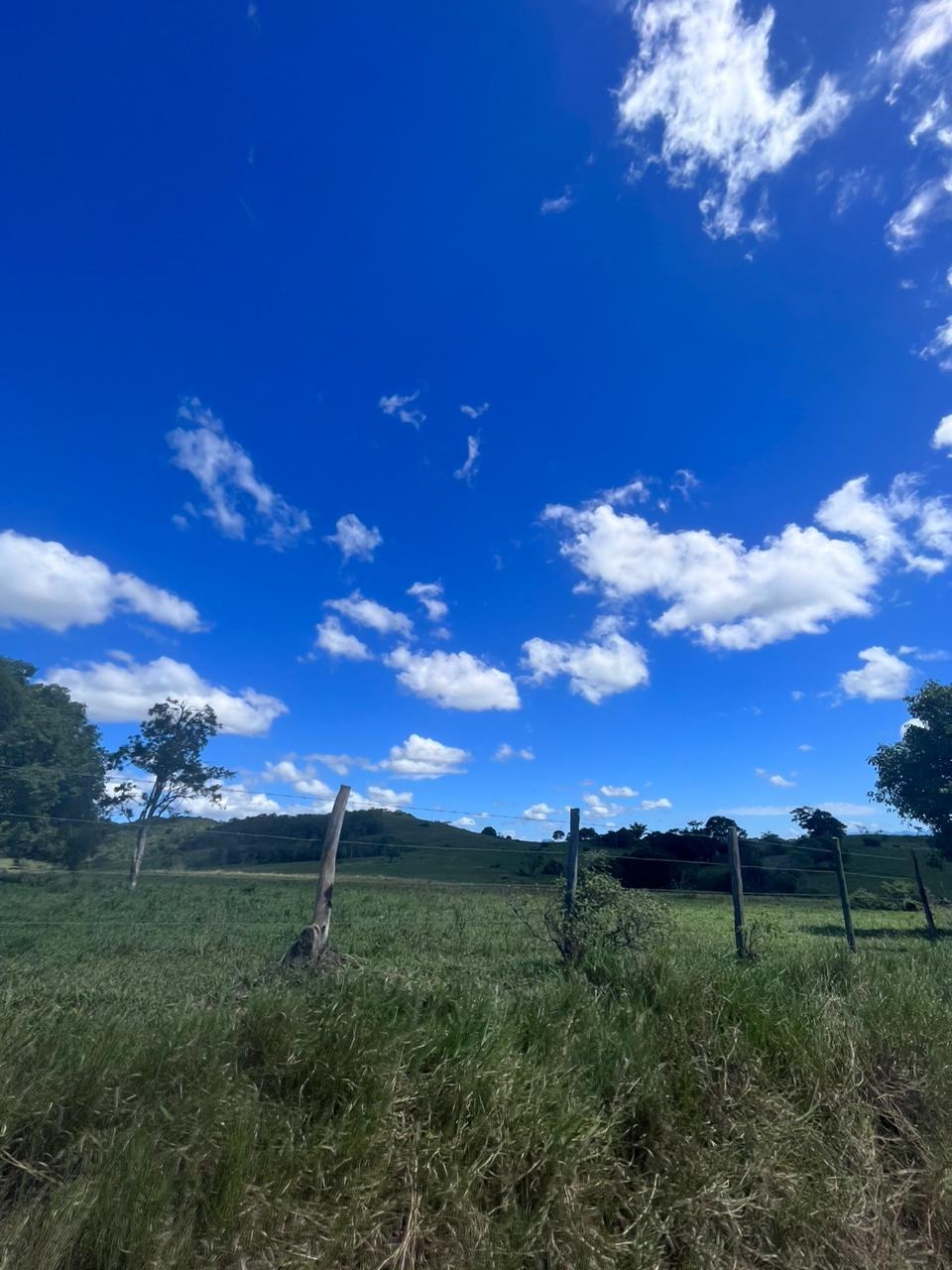 Fazenda à venda - Foto 21