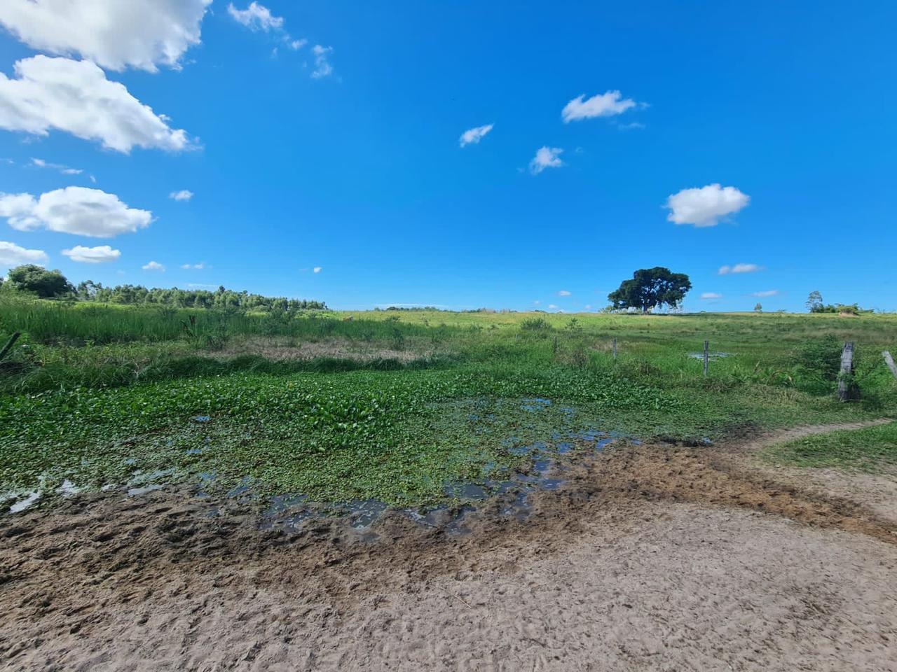 Fazenda à venda - Foto 61