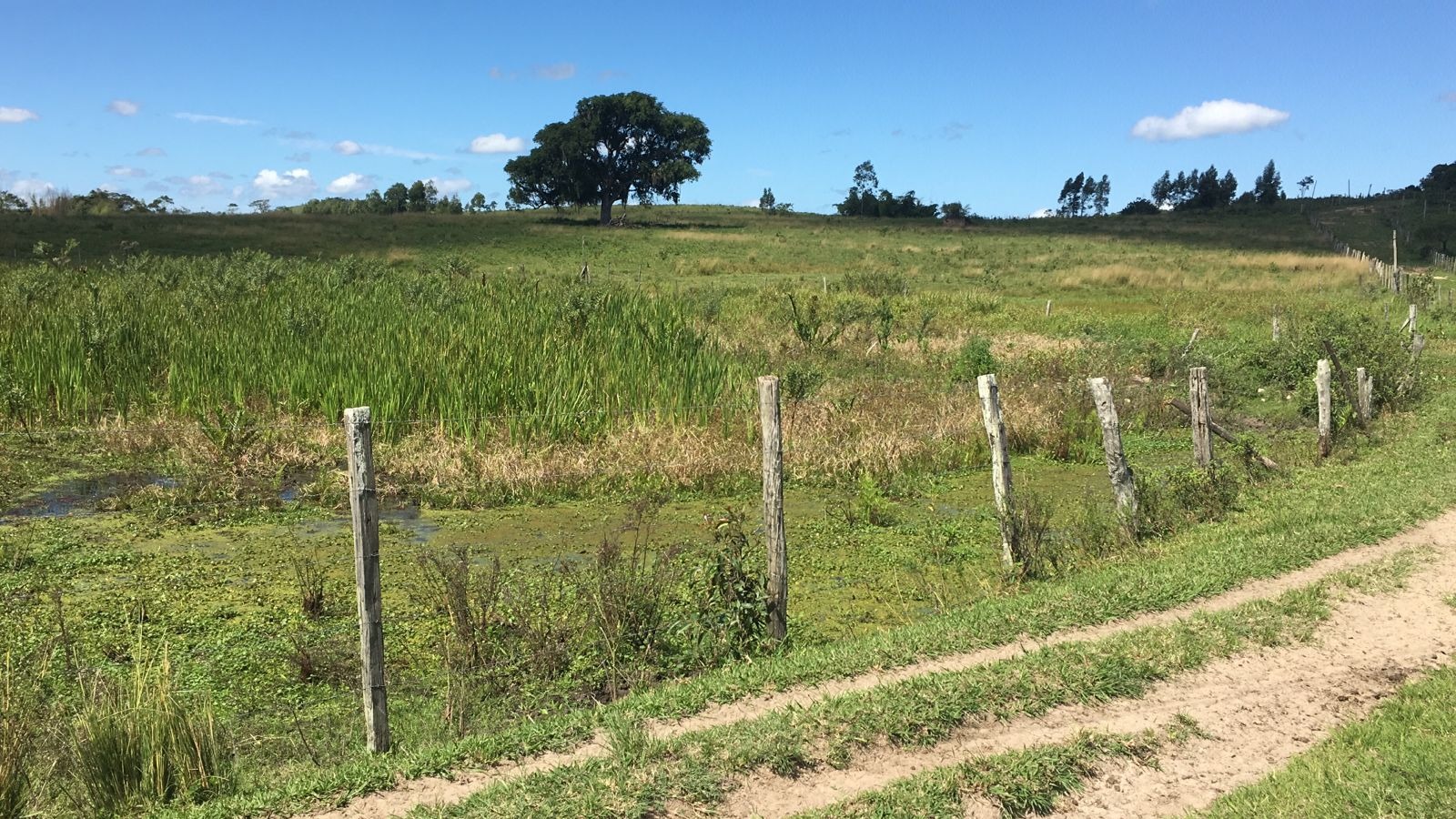 Fazenda à venda - Foto 2