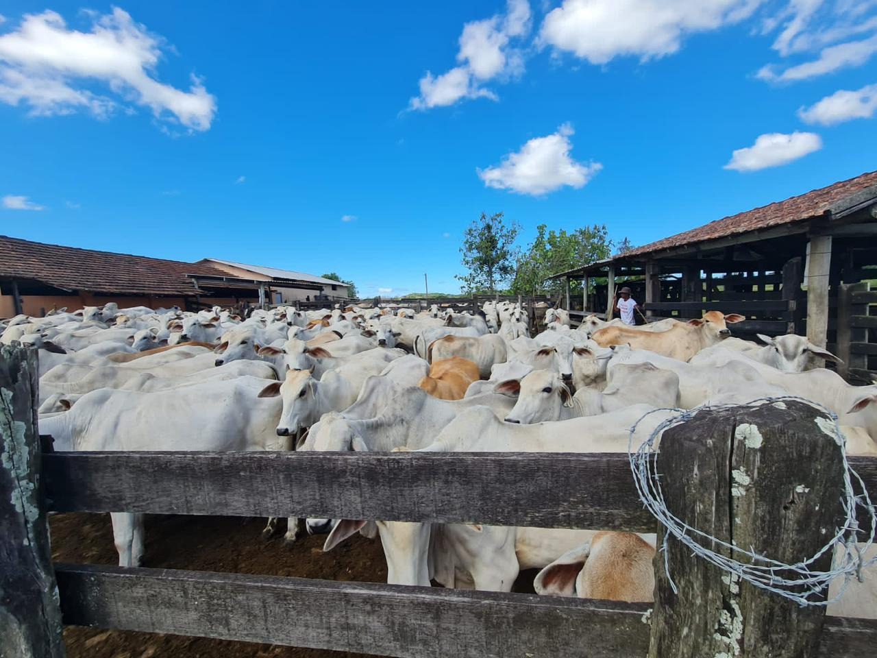 Fazenda à venda - Foto 43